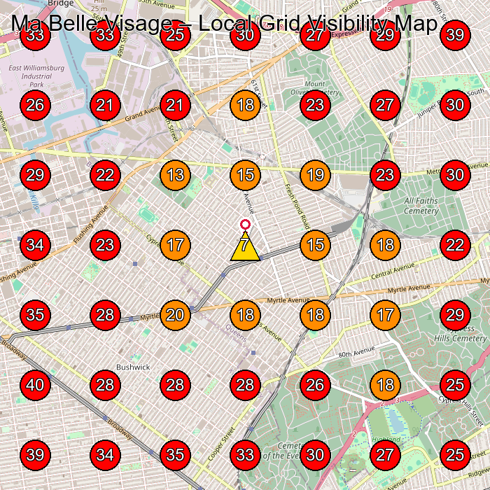 Ma Belle Visage GeoGrid visibility map for Facial Spa in Queens